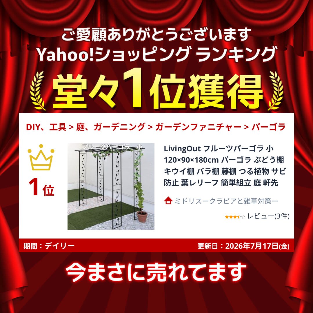 LivingOut フルーツパーゴラ 小 120×90×180cm パーゴラ ぶどう棚