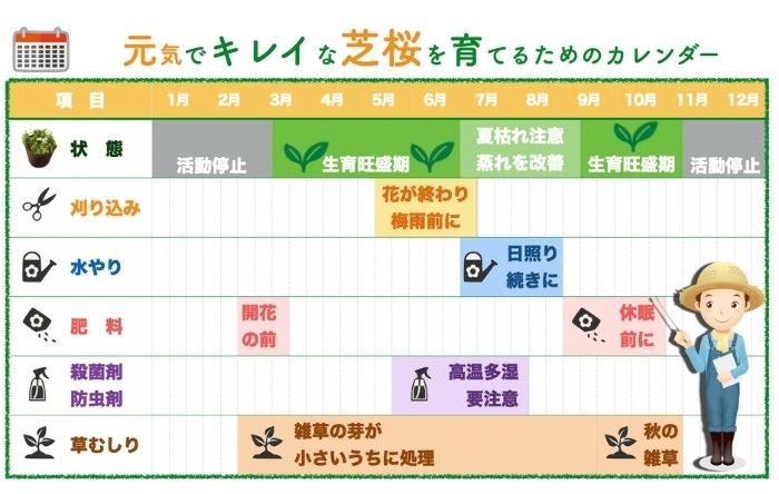 広がった後の育て方