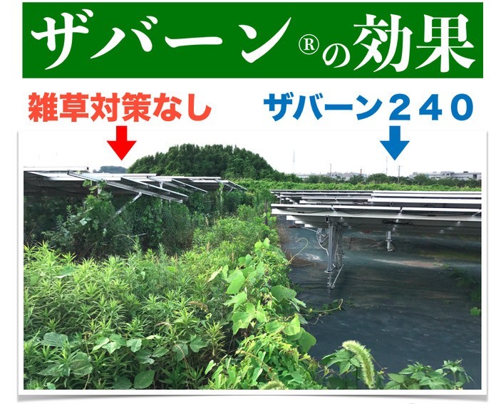 防草シート ザバーン１３６G 耐用年数3年（曝露）砂利下半永久 ２m幅