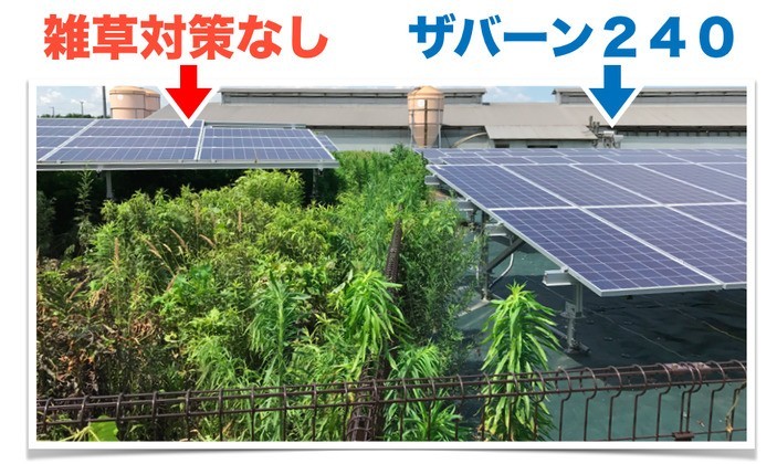 ザバーンの効果の写真　太陽光発電所の比較