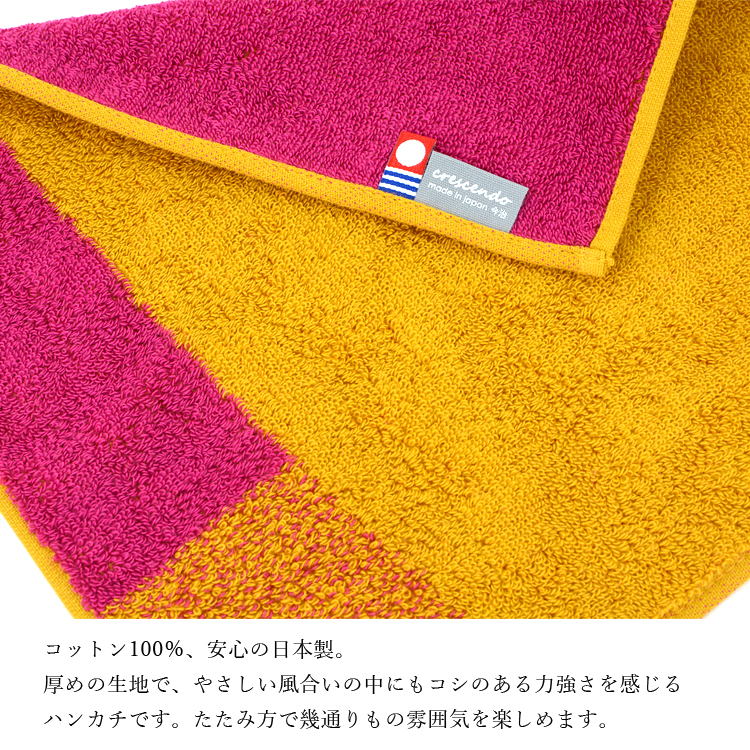 今治タオル 認定 ハンドタオル 2枚セット 箱入 ハンカチ タオル 箱入り