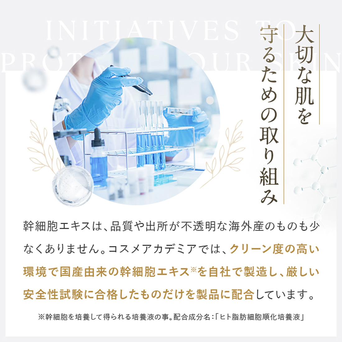 ヒト脂肪幹細胞培養液エキス配合 化粧水 美容液 セット コスメ
