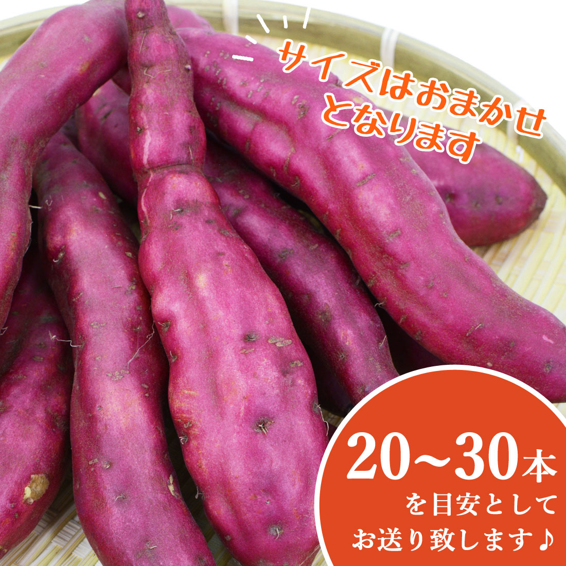 新芋　高知県産　約5キロ　31 500円OFFクーポン対象 高知産 新いも 新さつまいも 5kg 土佐紅