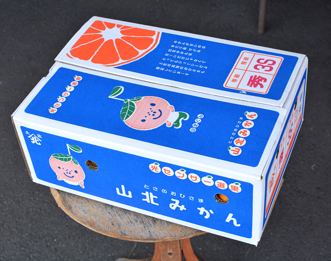 高知産　温室山北みかん 秀 3S 　約５Kg 山北温室みかん5kg化粧箱 最高級ギフト