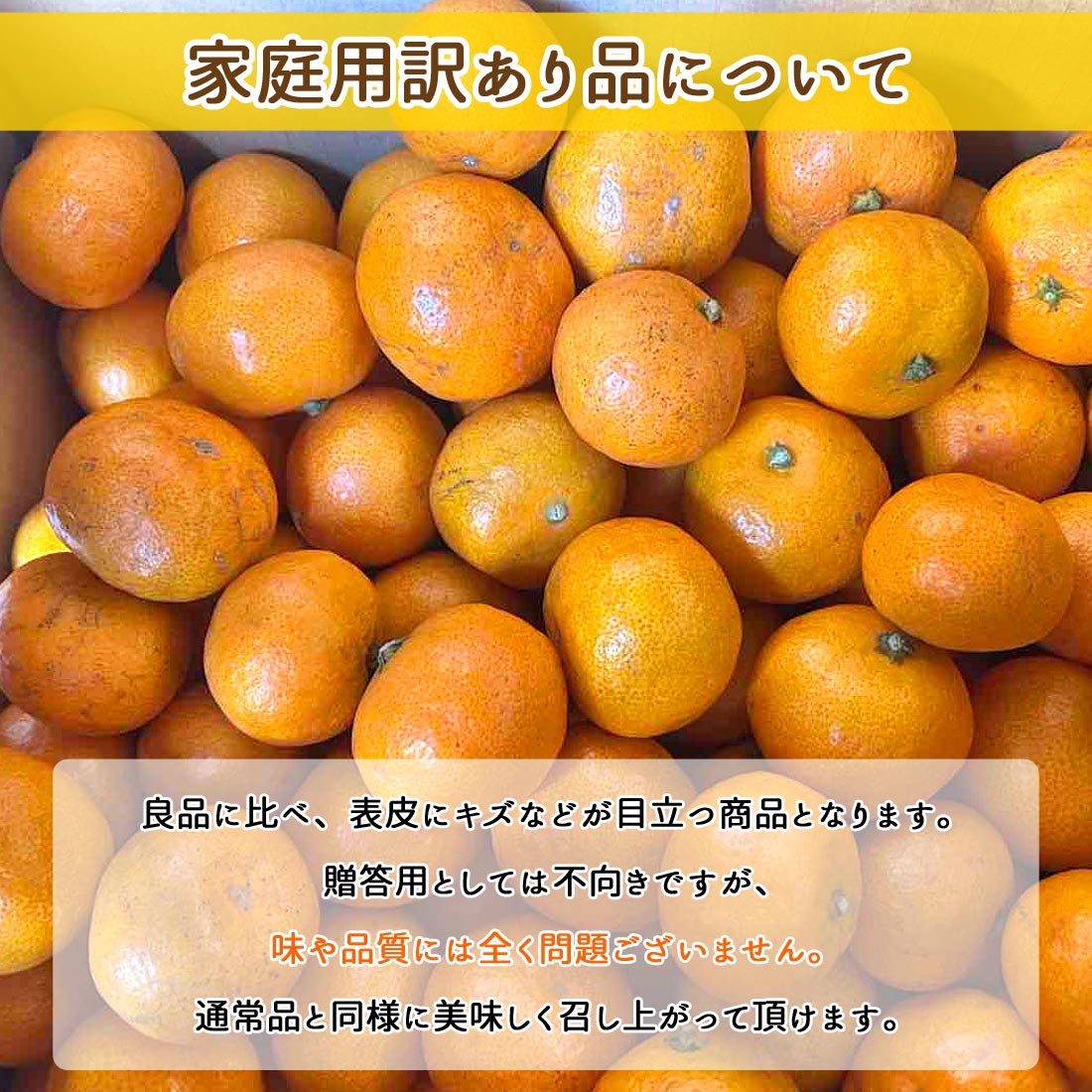 100円OFFクーポン みかん 山北みかん 高知産 約5kg 蜜柑 温州みかん