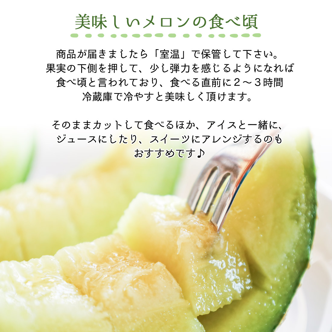 高知県産　温室アールスメロン 最高級6玉　送料込み 限定10個 メロン 高知産 家庭用 6玉 高級 温室 ハウスメロン 青