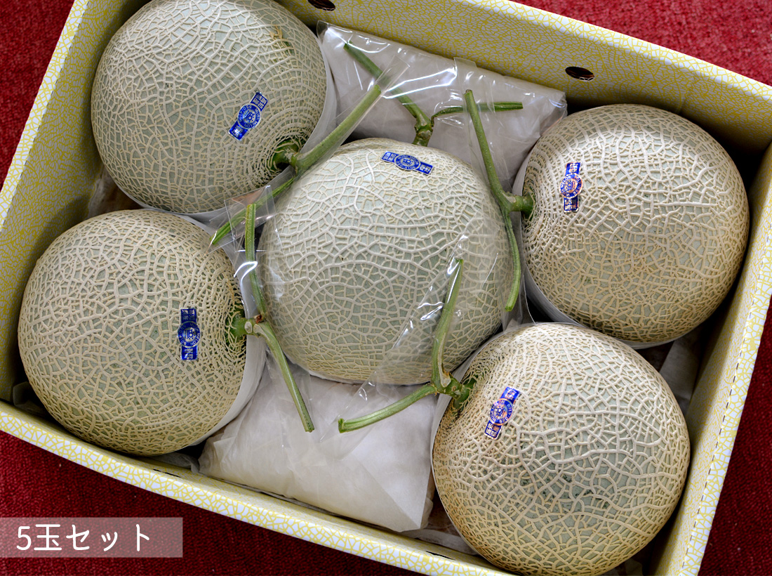 ま*ぁ様 高知産　温室マスクメロン　 5個入り 10Kg　秀品☆　贈答用☆☆ 限定10個 メロン 高知産 家庭用 5玉 高級 温室 ハウスメロン 青