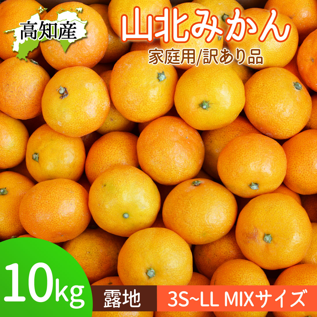 みかん 山北みかん 高知産 約10kg 蜜柑 露地 10キロ 小玉 小粒 中玉