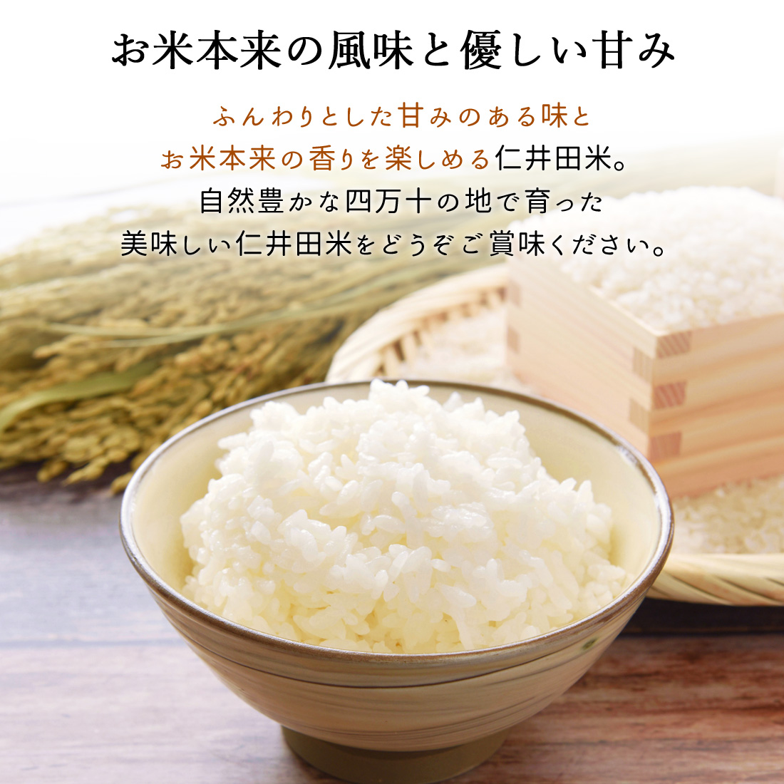 予約】四万十町 無農薬 仁井田米 10kg 米 こめ コシヒカリ 令和7
