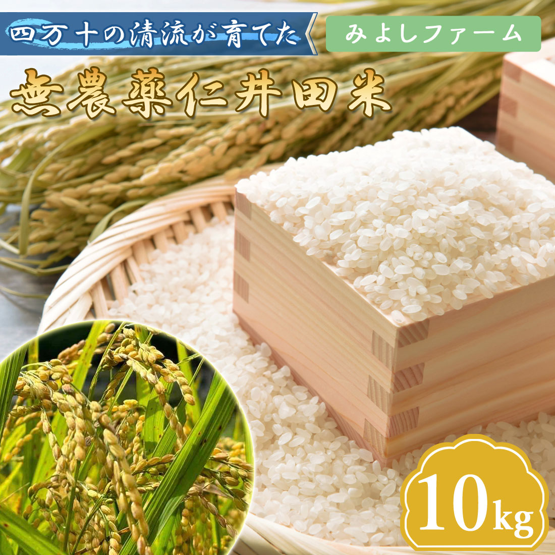 予約】四万十町 無農薬 仁井田米 10kg 米 こめ コシヒカリ 令和7