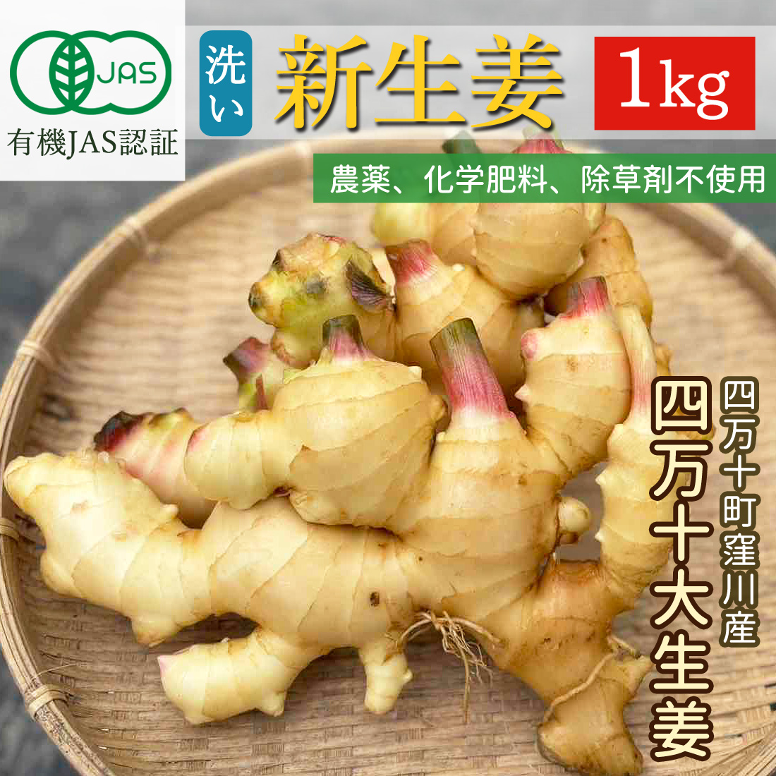 予約】窪川産直 新生姜 有機JAS 洗い 栽培期間中無農薬 生姜 1kg