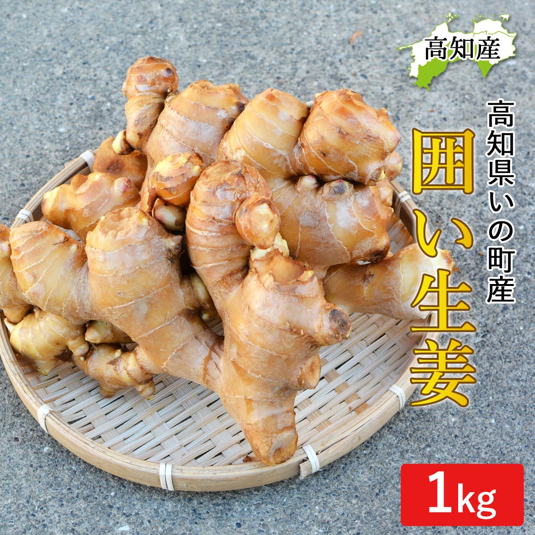 山北産直 生姜 訳あり 20kg 高知県産 国産 しょうが 農家直送