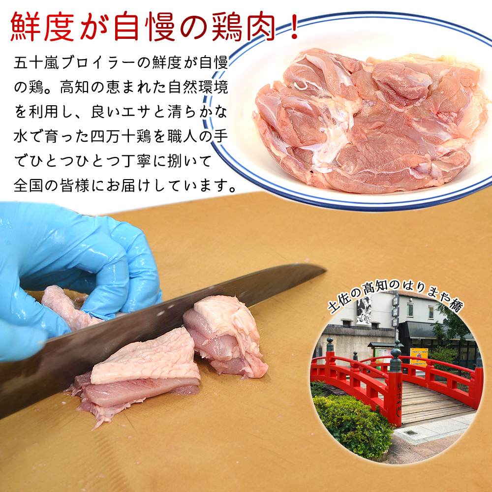四万十鶏 骨付き鶏 もも肉 (10本) 300g〜340g 生肉 味付なし 骨付鳥 骨