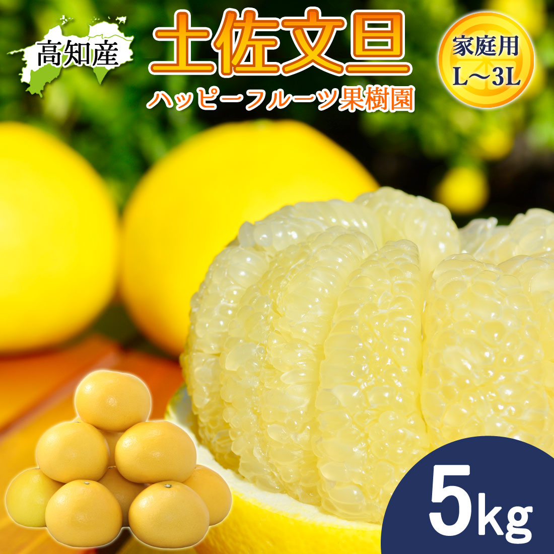 文旦 土佐文旦 家庭用 5kg L〜3Lサイズ 9〜11玉 ハッピーフルーツ果樹