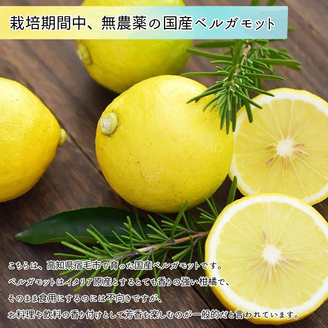 ベルガモット 栽培期間中 無農薬 ノーワックス 高知産 3kg 国産