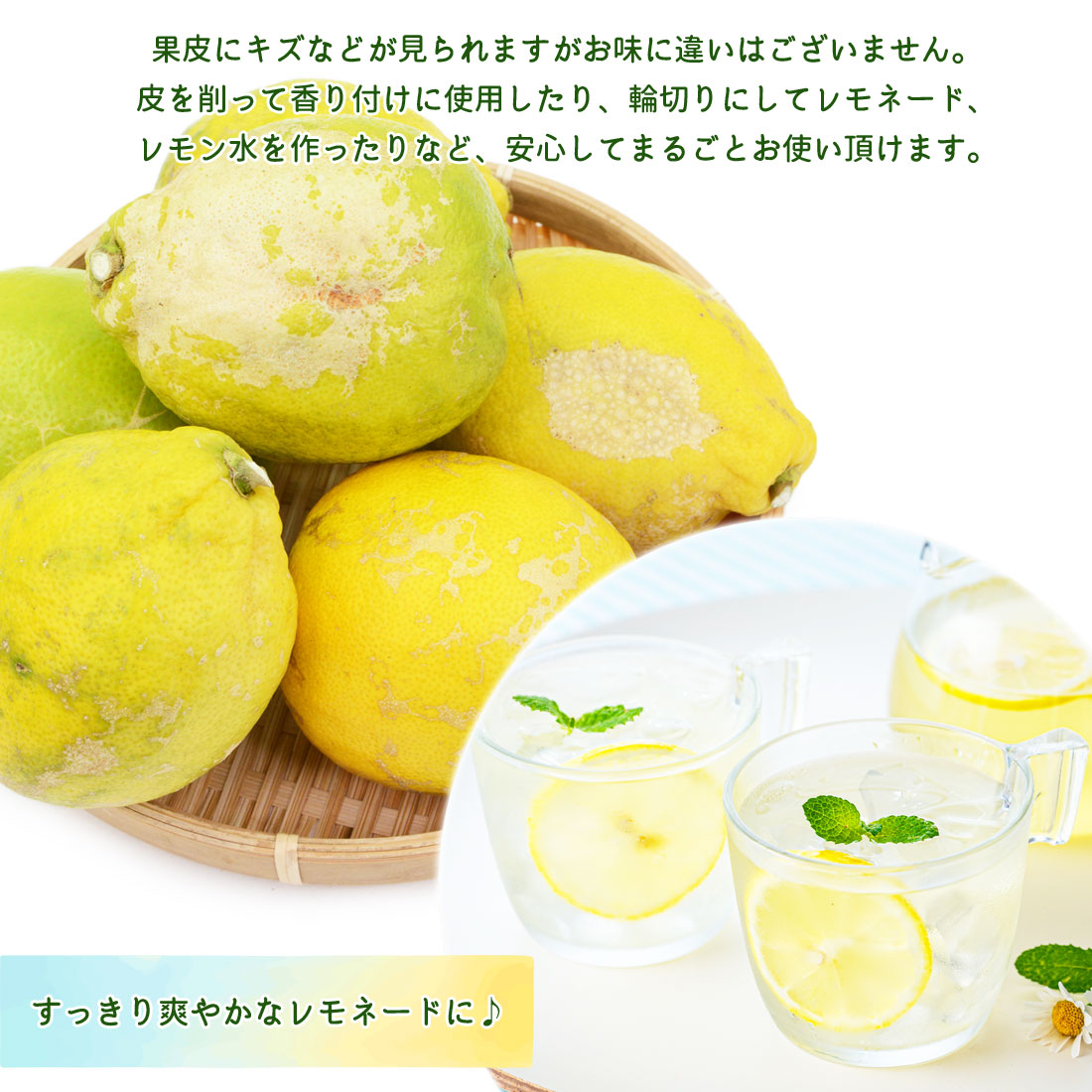 レモン 大玉 訳あり 5kg 栽培期間中 無農薬 国産 木成り完熟 特大