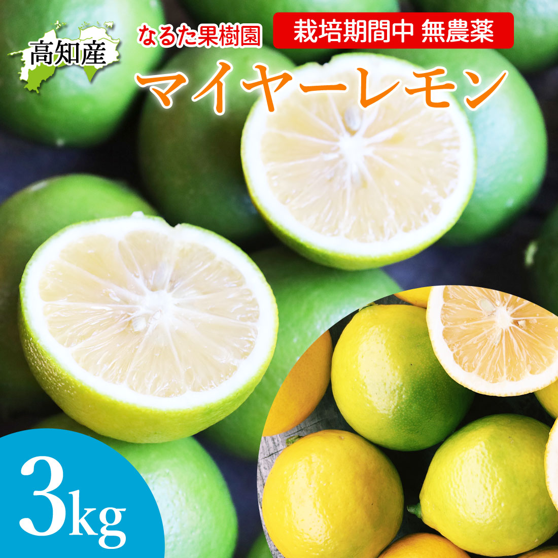 マイヤーレモン グリーンレモン 3kg 栽培期間中 無農薬 高知産 国産
