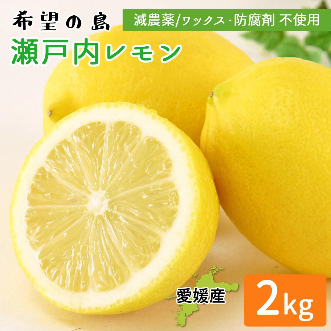 産地直送 瀬戸内レモン 2kg 訳あり 残留農薬ゼロ 瀬戸内海 離島 檸檬