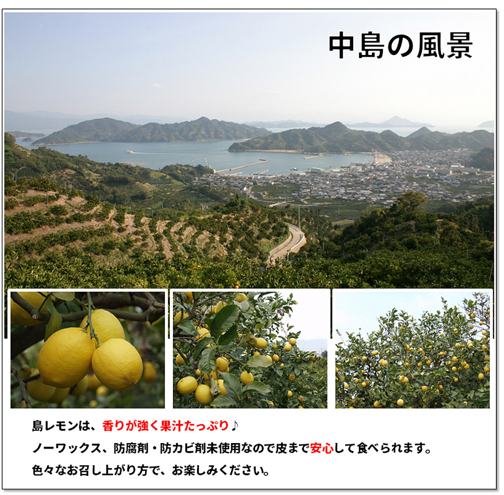 産地直送 瀬戸内レモン 2kg 訳あり 残留農薬ゼロ 瀬戸内海 離島 檸檬