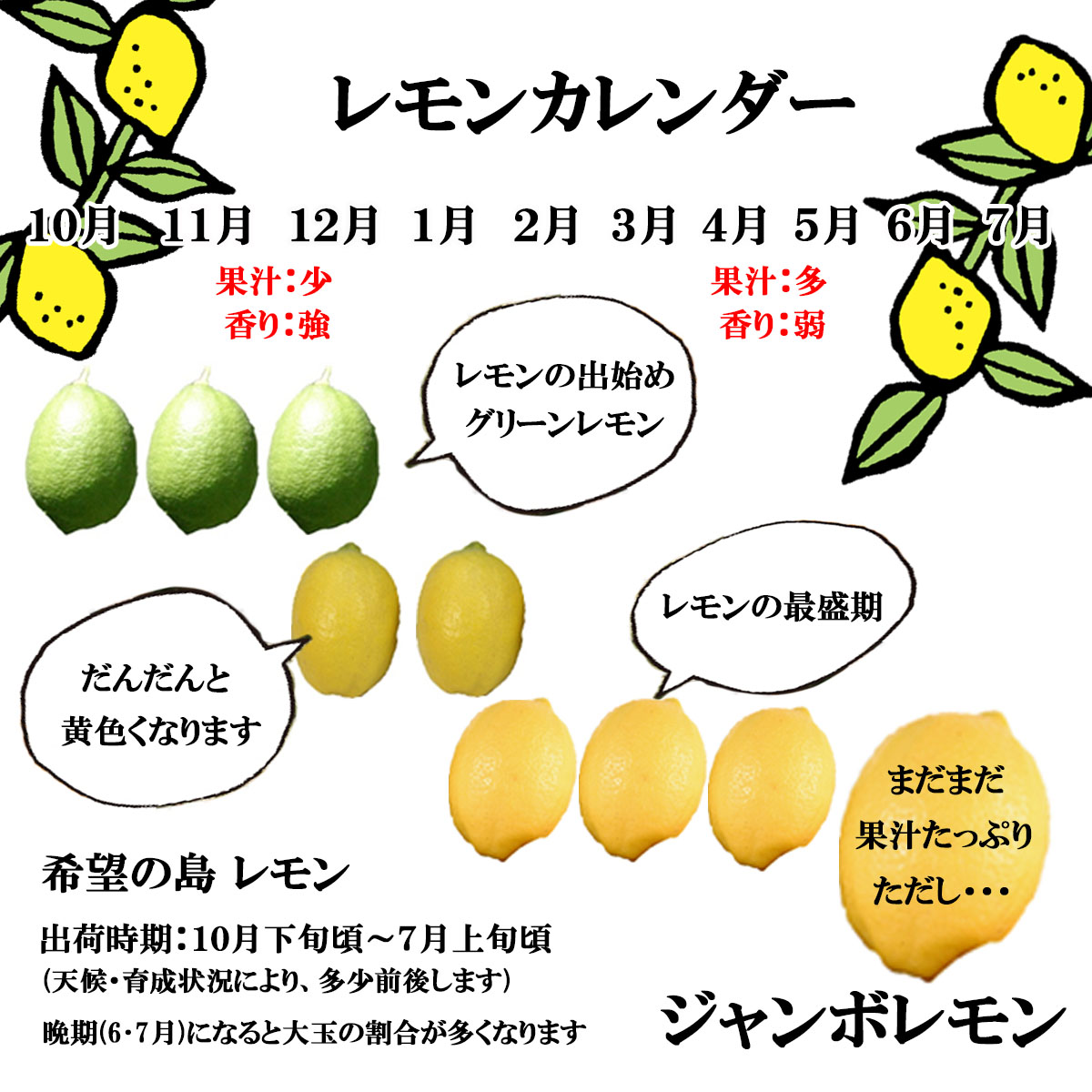 産地直送 瀬戸内レモン 2kg 訳あり 残留農薬ゼロ 瀬戸内海 離島 檸檬