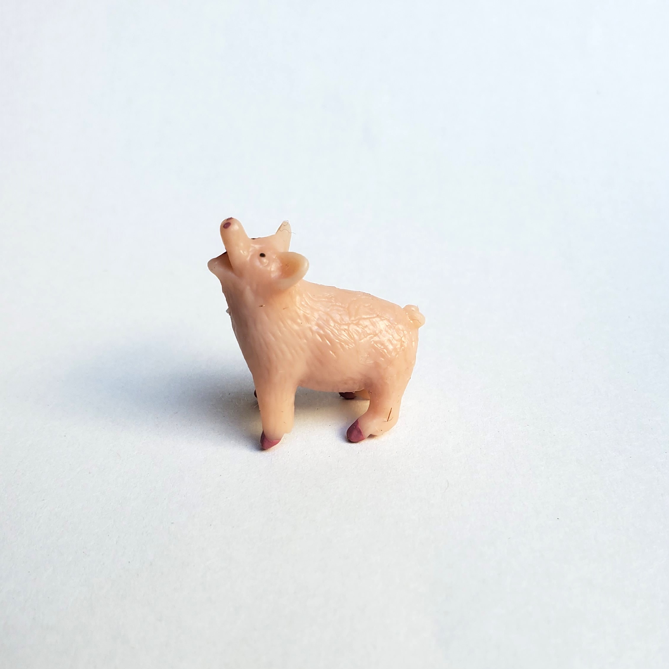 サファリ ブタ ぶた 豚 pig オブジェ ミニチュア 置物 グッドラックミニ