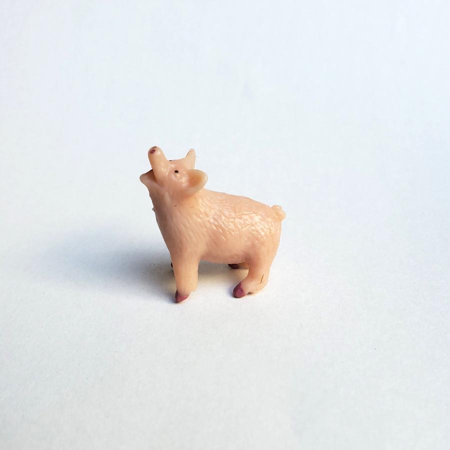 サファリ ブタ ぶた 豚 pig オブジェミニチュア 置物 グッドラックミニ