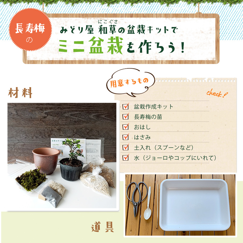 盆栽キット