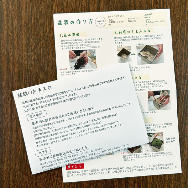 盆栽キット