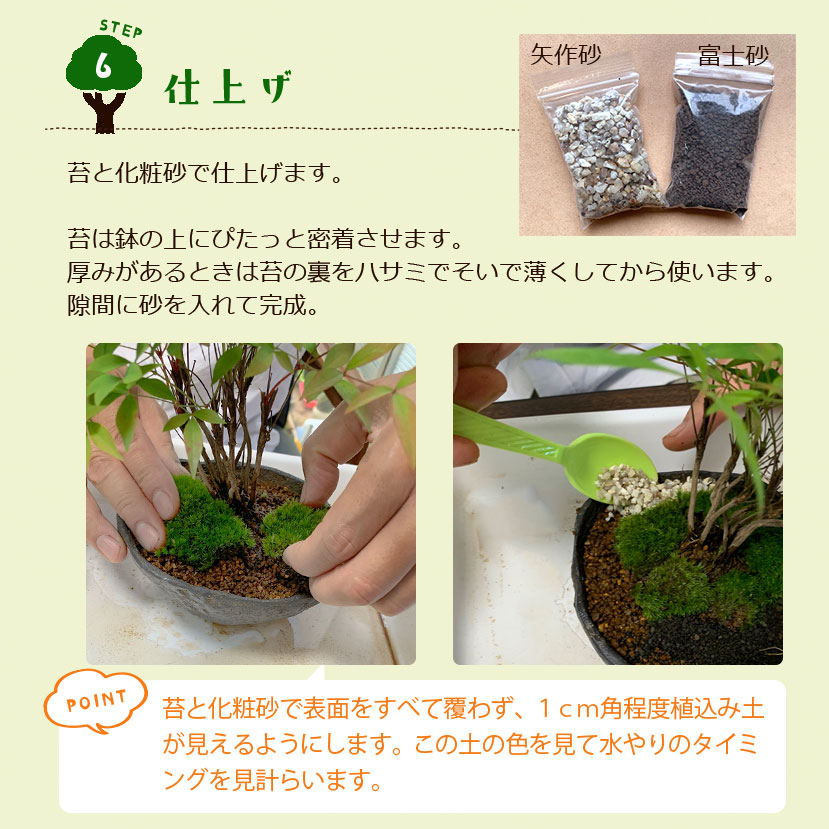盆栽キット