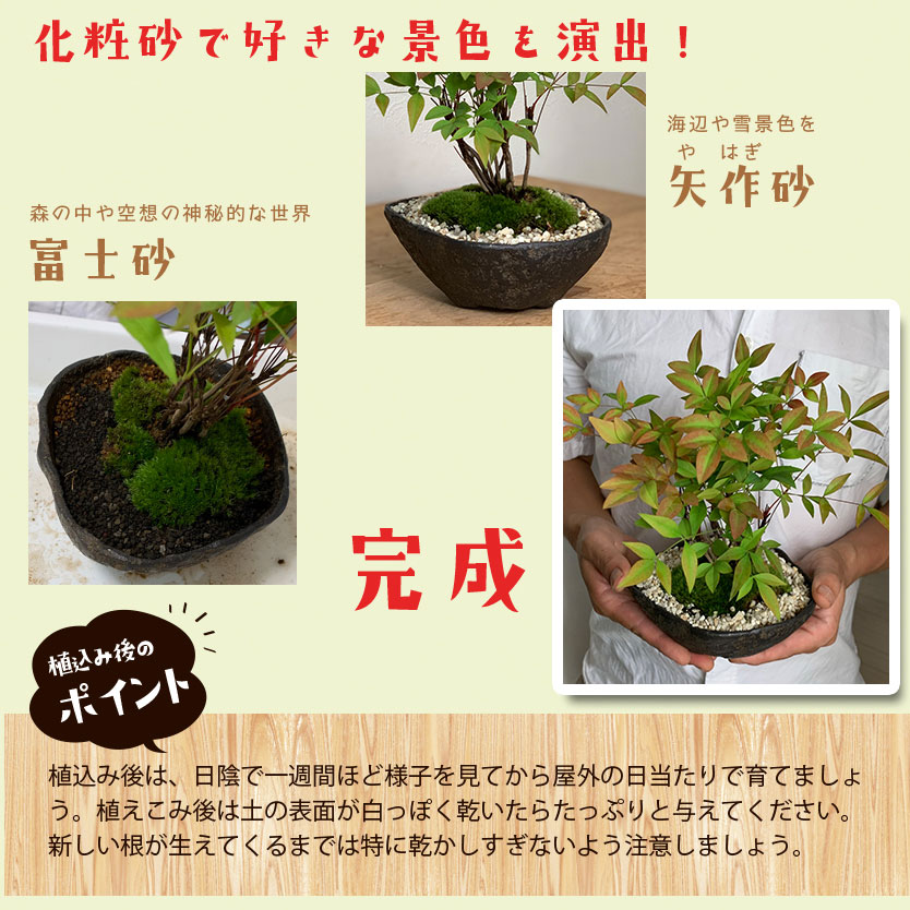 盆栽キット