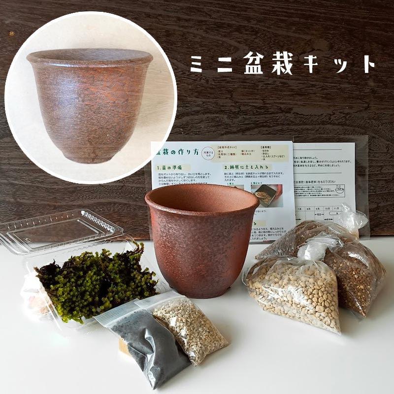 盆栽キット 植え替え用材料 万古焼 朱深丸鉢 盆栽 作り方つき こけ コケ 苔 ぼんさい 盆栽 : bonkit01banko : みどり屋  和草(にこぐさ) - 通販 - Yahoo!ショッピング