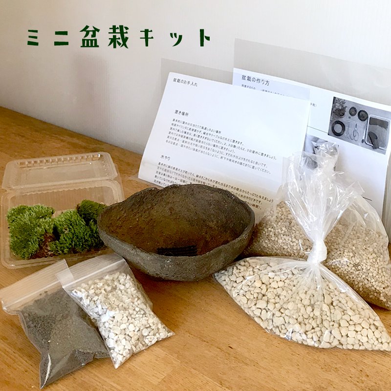 盆栽キット
