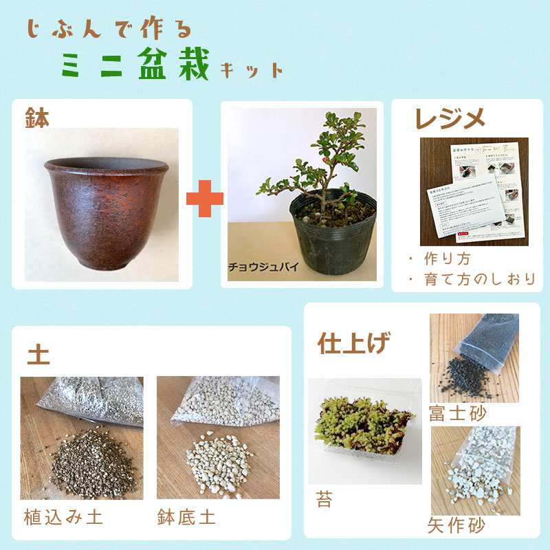 盆栽キット