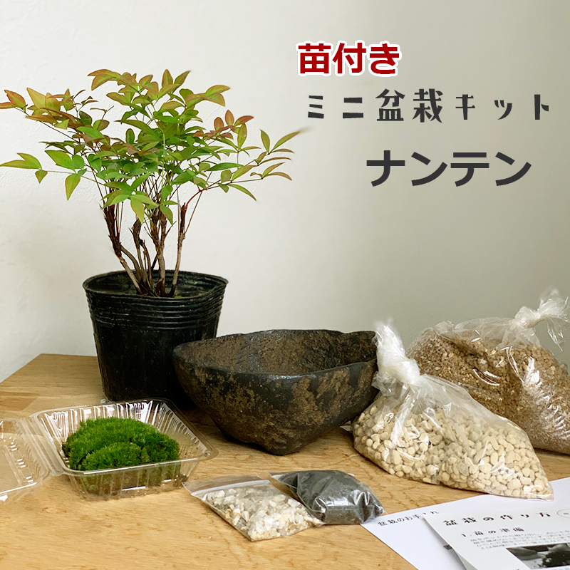 盆栽キット
