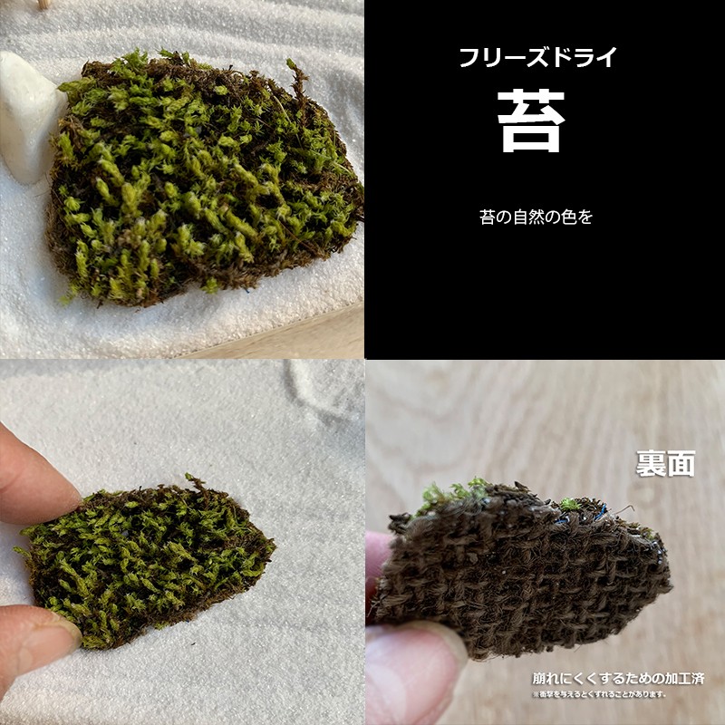 枯山水庭園