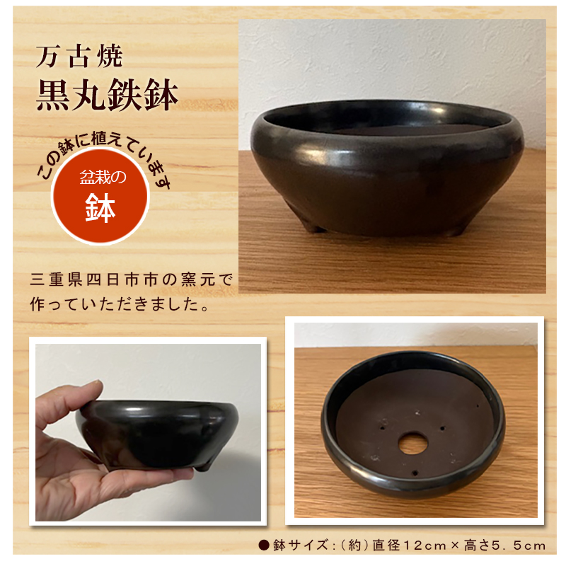 枯山水盆栽セット 枯山水 玉砂利 小サイズ + 黒松 盆栽 万古焼 くろ