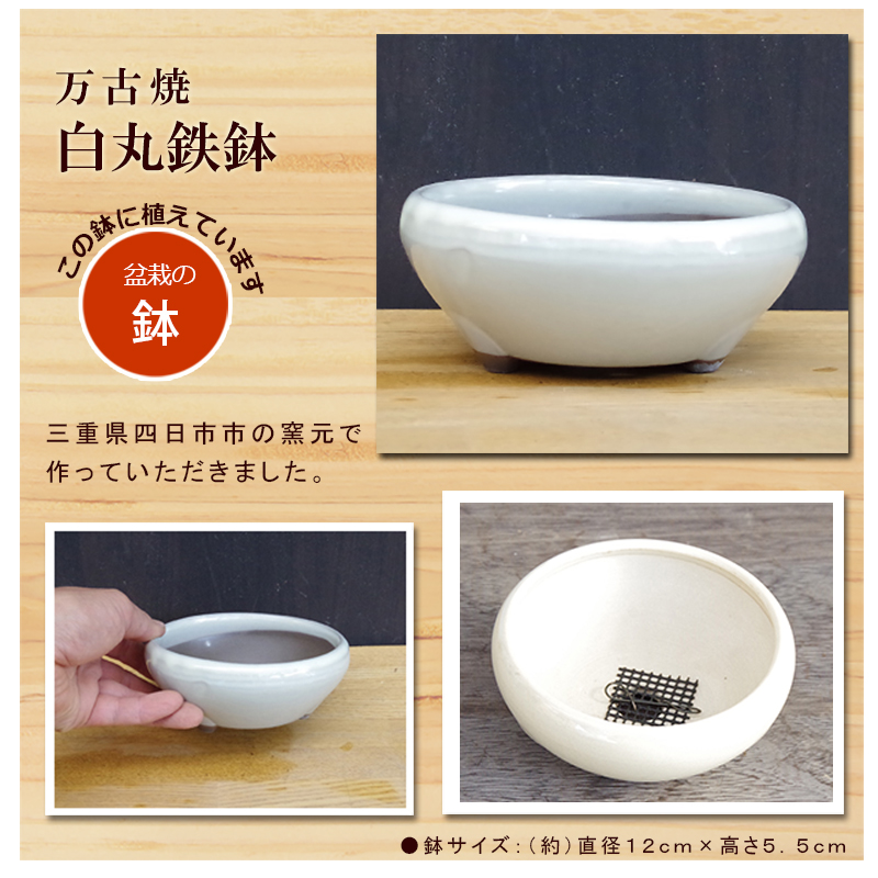 万古焼前