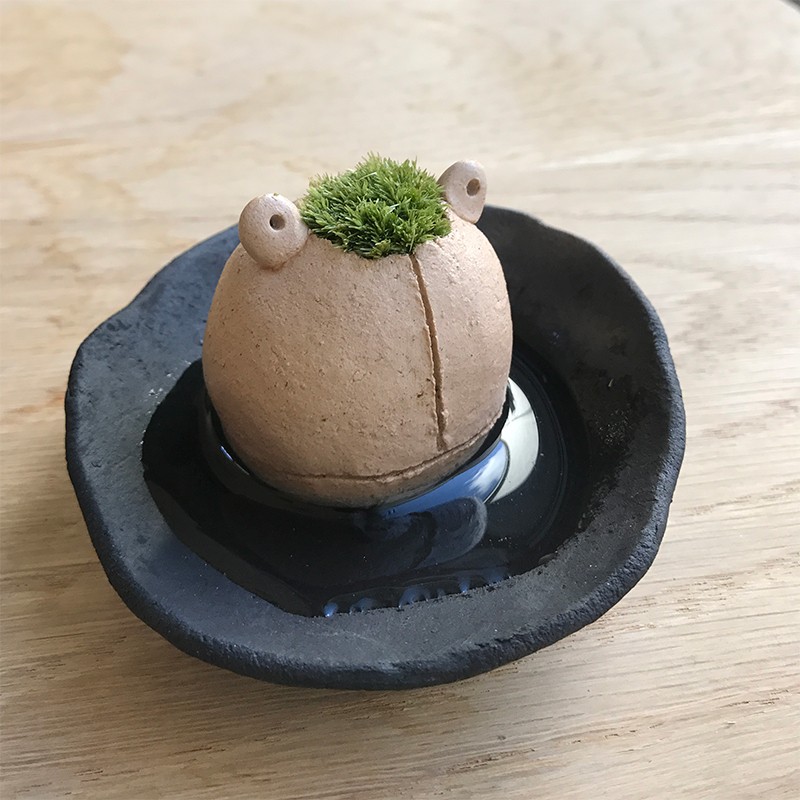 苔 コケ かわいい 真山茜 モスモス モスカエル 受け皿セット mosmos 益子 陶芸家 観葉植物 コケテラリウム インテリア コケ栽培 ギフト誕生日 父の日 カエル 蛙