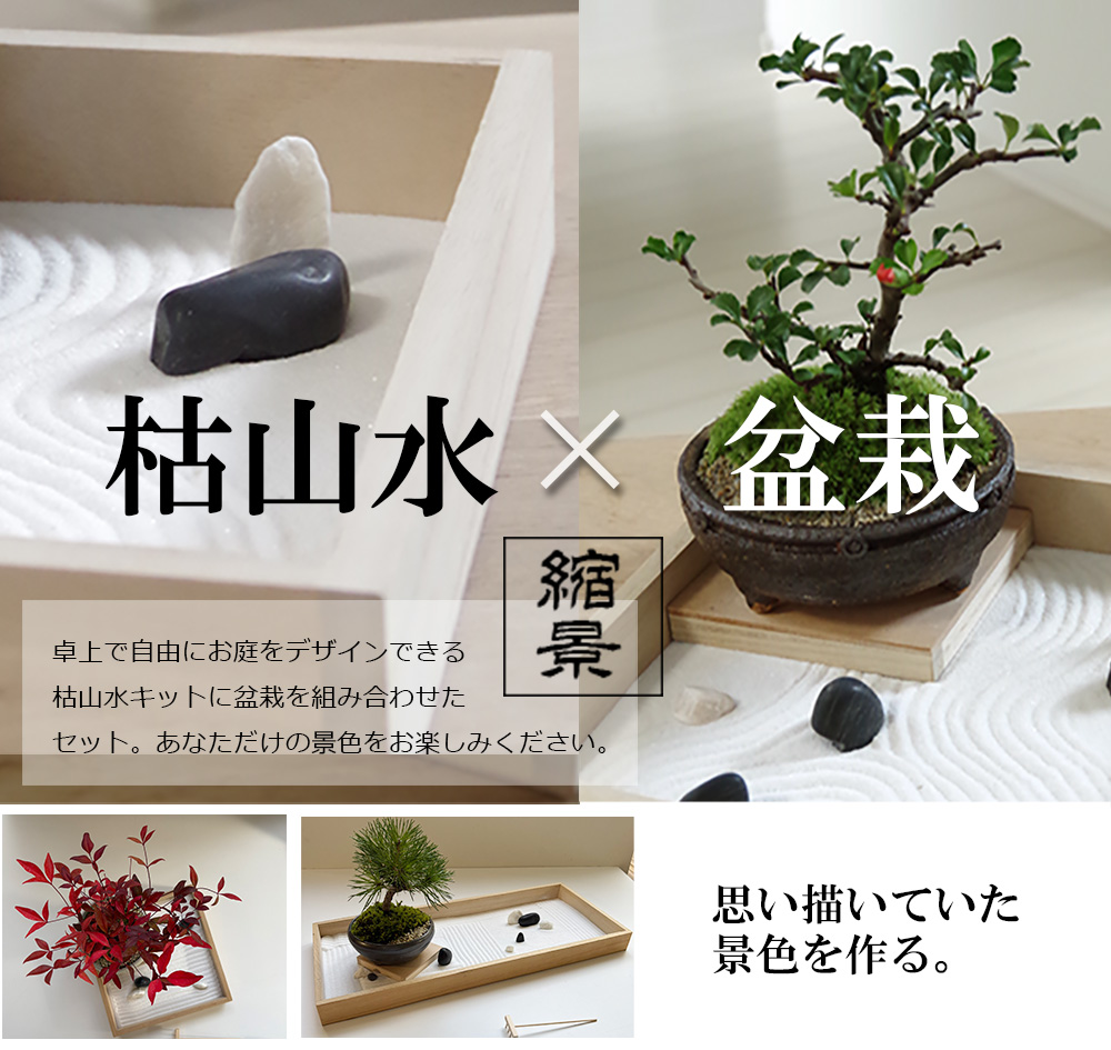枯山水×盆栽