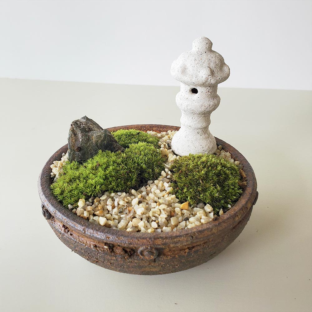 苔盆栽 春日灯篭 信楽焼 丸小紋 とうろう セット 茶鉢 苔 こけ コケ