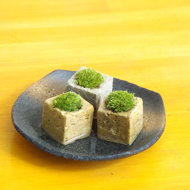苔キューブ
