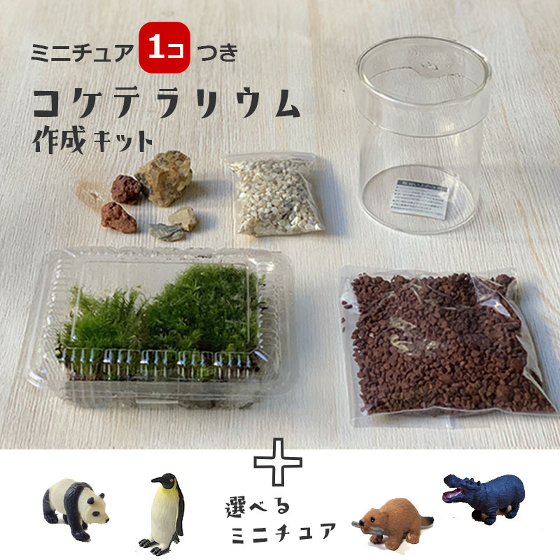 盆栽キット