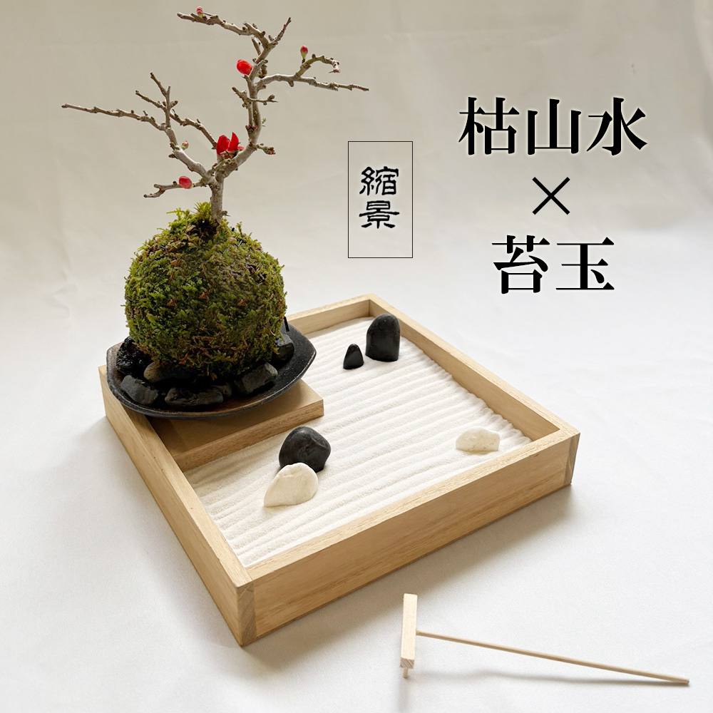長寿梅」の人気商品一覧 | 安い商品を通販サイトから探す - 価格.com