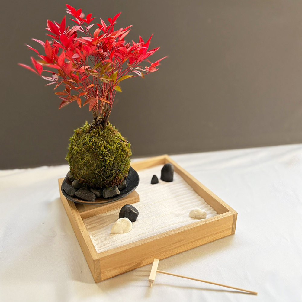枯山水苔玉セット 枯山水 玉砂利 小サイズ + 南天 苔玉 器 黒備前