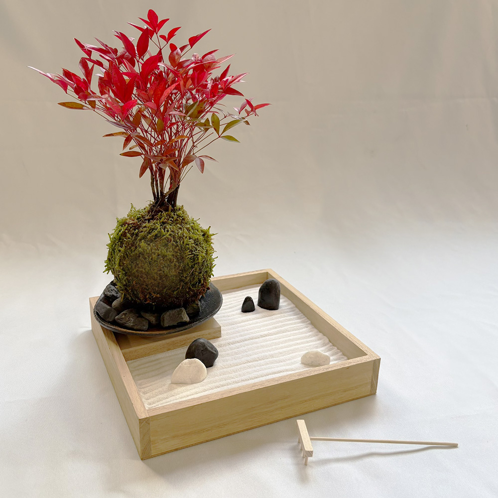 枯山水苔玉セット 枯山水 玉砂利 小サイズ + 南天 苔玉 器 黒備前