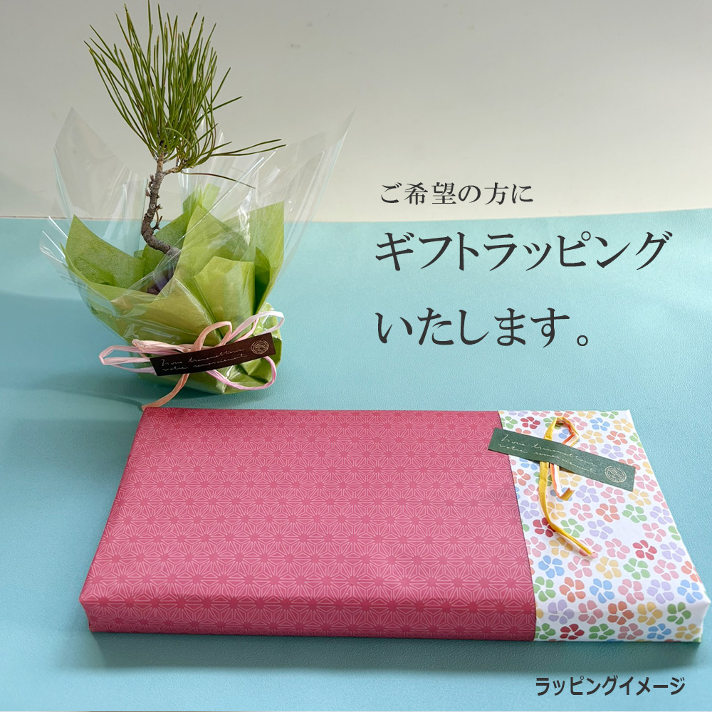 ラッピング