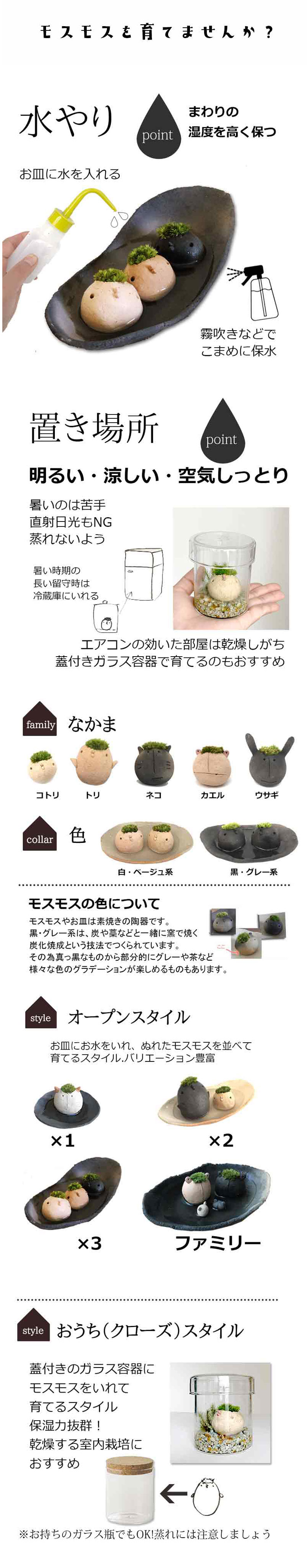 コケテラリウム モスモス