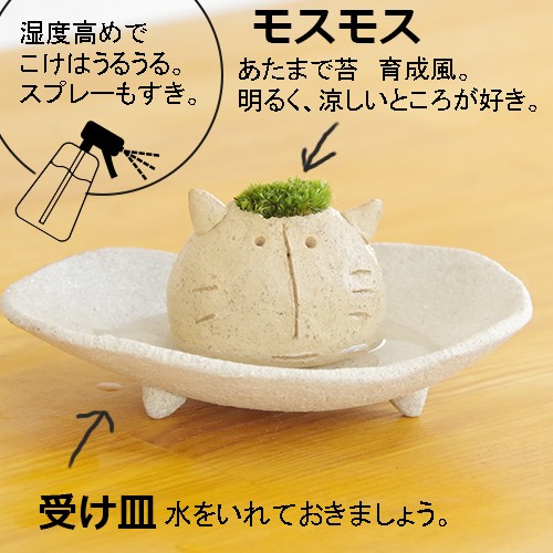 モスコネコ　真山茜