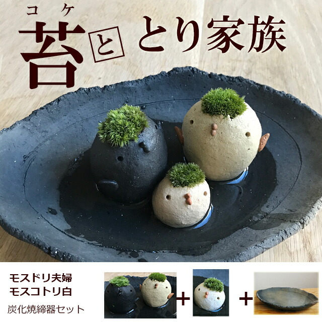 https://image.rakuten.co.jp/nicogneko/cabinet/mossmoss/mosnekofam.jpg