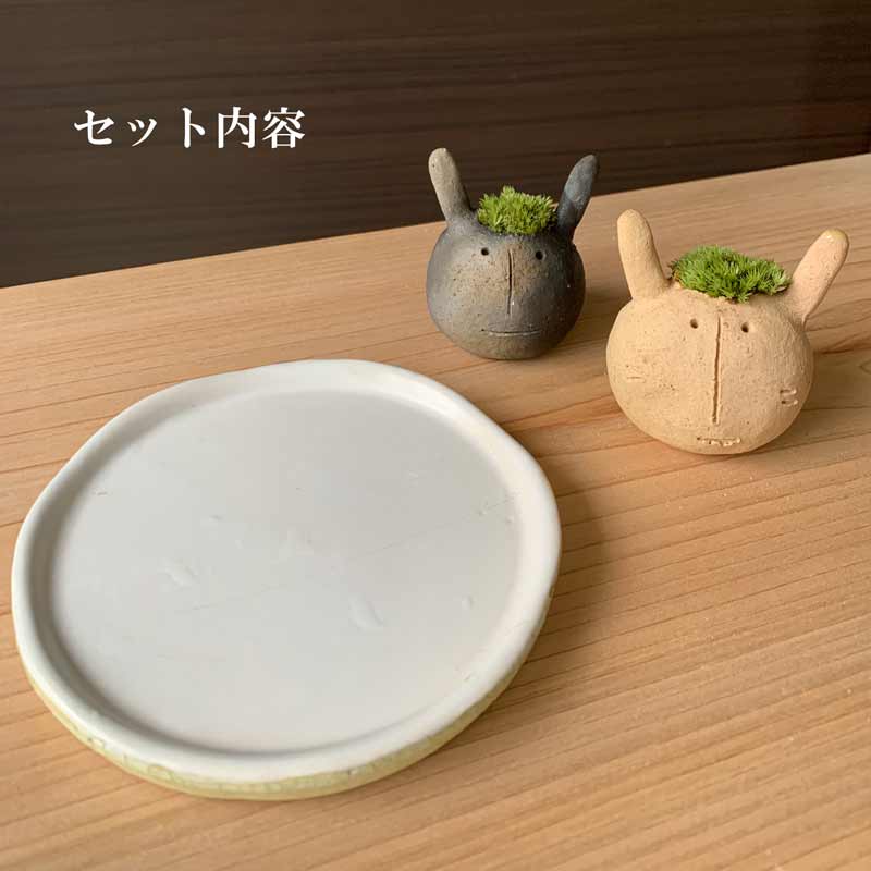2023年 干支 卯年 干支飾り 苔 かわいいコケ 真山茜 モスモス